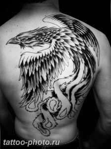 фото идеи тату феникс 18.12.2018 №725 - photo ideas tattoo phoenix - tattoo-photo.ru