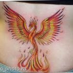 фото идеи тату феникс 18.12.2018 №728 - photo ideas tattoo phoenix - tattoo-photo.ru