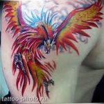 фото идеи тату феникс 18.12.2018 №729 - photo ideas tattoo phoenix - tattoo-photo.ru