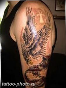 фото идеи тату феникс 18.12.2018 №732 - photo ideas tattoo phoenix - tattoo-photo.ru