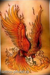 фото идеи тату феникс 18.12.2018 №733 - photo ideas tattoo phoenix - tattoo-photo.ru