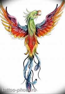 фото идеи тату феникс 18.12.2018 №736 - photo ideas tattoo phoenix - tattoo-photo.ru