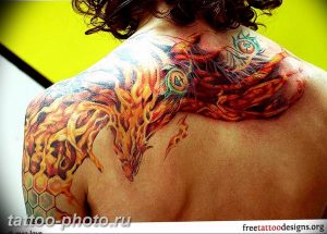 фото идеи тату феникс 18.12.2018 №738 - photo ideas tattoo phoenix - tattoo-photo.ru