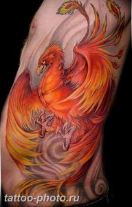 фото идеи тату феникс 18.12.2018 №740 - photo ideas tattoo phoenix - tattoo-photo.ru