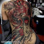 фото идеи тату феникс 18.12.2018 №745 - photo ideas tattoo phoenix - tattoo-photo.ru