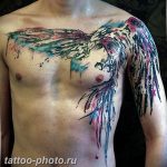 фото идеи тату феникс 18.12.2018 №750 - photo ideas tattoo phoenix - tattoo-photo.ru