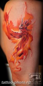 фото идеи тату феникс 18.12.2018 №756 - photo ideas tattoo phoenix - tattoo-photo.ru