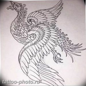 фото идеи тату феникс 18.12.2018 №757 - photo ideas tattoo phoenix - tattoo-photo.ru