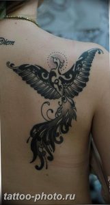 фото идеи тату феникс 18.12.2018 №758 - photo ideas tattoo phoenix - tattoo-photo.ru