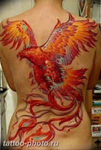 фото идеи тату феникс 18.12.2018 №761 - photo ideas tattoo phoenix - tattoo-photo.ru