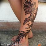 фото идеи тату феникс 18.12.2018 №762 - photo ideas tattoo phoenix - tattoo-photo.ru