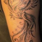 фото идеи тату феникс 18.12.2018 №763 - photo ideas tattoo phoenix - tattoo-photo.ru