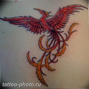 фото идеи тату феникс 18.12.2018 №765 - photo ideas tattoo phoenix - tattoo-photo.ru