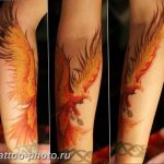 фото идеи тату феникс 18.12.2018 №767 - photo ideas tattoo phoenix - tattoo-photo.ru