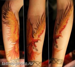 фото идеи тату феникс 18.12.2018 №767 - photo ideas tattoo phoenix - tattoo-photo.ru