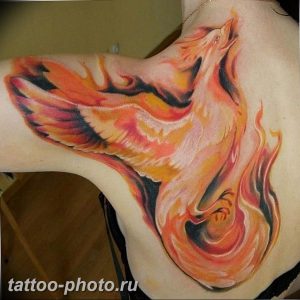 фото идеи тату феникс 18.12.2018 №768 - photo ideas tattoo phoenix - tattoo-photo.ru