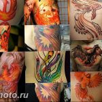 фото идеи тату феникс 18.12.2018 №775 - photo ideas tattoo phoenix - tattoo-photo.ru