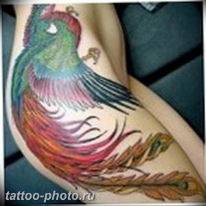 фото идеи тату феникс 18.12.2018 №776 - photo ideas tattoo phoenix - tattoo-photo.ru