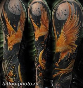 фото идеи тату феникс 18.12.2018 №777 - photo ideas tattoo phoenix - tattoo-photo.ru