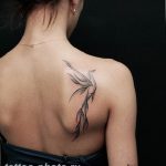 фото идеи тату феникс 18.12.2018 №787 - photo ideas tattoo phoenix - tattoo-photo.ru