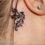 фото идеи тату феникс 18.12.2018 №791 - photo ideas tattoo phoenix - tattoo-photo.ru