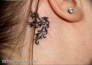 фото идеи тату феникс 18.12.2018 №791 - photo ideas tattoo phoenix - tattoo-photo.ru