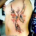 фото идеи тату феникс 18.12.2018 №804 - photo ideas tattoo phoenix - tattoo-photo.ru