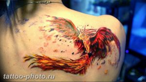 фото идеи тату феникс 18.12.2018 №807 - photo ideas tattoo phoenix - tattoo-photo.ru