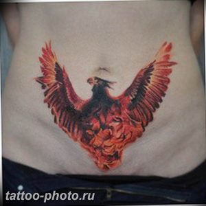 фото идеи тату феникс 18.12.2018 №809 - photo ideas tattoo phoenix - tattoo-photo.ru