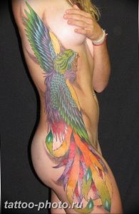 фото идеи тату феникс 18.12.2018 №812 - photo ideas tattoo phoenix - tattoo-photo.ru