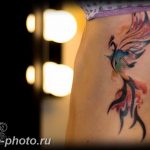 фото идеи тату феникс 18.12.2018 №818 - photo ideas tattoo phoenix - tattoo-photo.ru