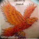 фото идеи тату феникс 18.12.2018 №819 - photo ideas tattoo phoenix - tattoo-photo.ru