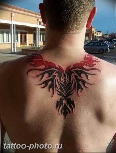 фото идеи тату феникс 18.12.2018 №827 - photo ideas tattoo phoenix - tattoo-photo.ru