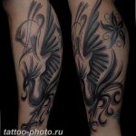 фото идеи тату феникс 18.12.2018 №833 - photo ideas tattoo phoenix - tattoo-photo.ru