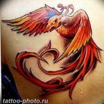 фото идеи тату феникс 18.12.2018 №834 - photo ideas tattoo phoenix - tattoo-photo.ru