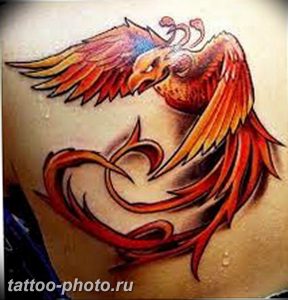 фото идеи тату феникс 18.12.2018 №834 - photo ideas tattoo phoenix - tattoo-photo.ru