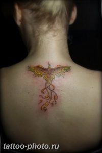 фото идеи тату феникс 18.12.2018 №835 - photo ideas tattoo phoenix - tattoo-photo.ru