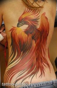 фото идеи тату феникс 18.12.2018 №836 - photo ideas tattoo phoenix - tattoo-photo.ru