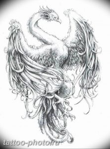 фото идеи тату феникс 18.12.2018 №843 - photo ideas tattoo phoenix - tattoo-photo.ru