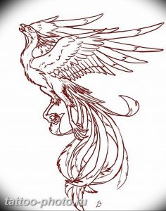 фото идеи тату феникс 18.12.2018 №850 - photo ideas tattoo phoenix - tattoo-photo.ru