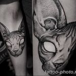 фото рисунка тату черная кошка 13.11.2018 №002 - black cat tattoo picture - tattoo-photo.ru