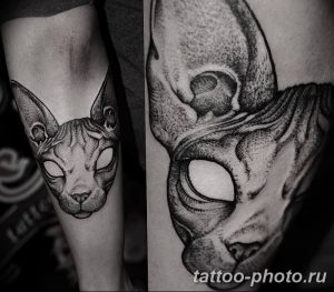 фото рисунка тату черная кошка 13.11.2018 №002 - black cat tattoo picture - tattoo-photo.ru