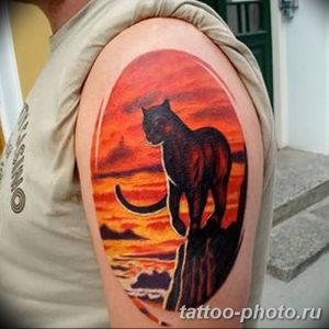 фото рисунка тату черная кошка 13.11.2018 №004 - black cat tattoo picture - tattoo-photo.ru