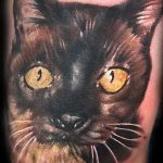 фото рисунка тату черная кошка 13.11.2018 №005 - black cat tattoo picture - tattoo-photo.ru