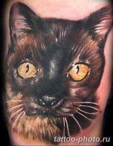 фото рисунка тату черная кошка 13.11.2018 №005 - black cat tattoo picture - tattoo-photo.ru