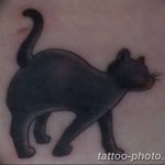 фото рисунка тату черная кошка 13.11.2018 №008 - black cat tattoo picture - tattoo-photo.ru