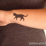 фото рисунка тату черная кошка 13.11.2018 №010 - black cat tattoo picture - tattoo-photo.ru