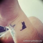 фото рисунка тату черная кошка 13.11.2018 №012 - black cat tattoo picture - tattoo-photo.ru