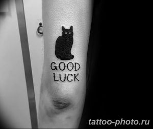 фото рисунка тату черная кошка 13.11.2018 №014 - black cat tattoo picture - tattoo-photo.ru