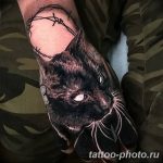 фото рисунка тату черная кошка 13.11.2018 №016 - black cat tattoo picture - tattoo-photo.ru